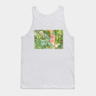 Ripe Summer Peaches in an Okanagan Orchard Tank Top